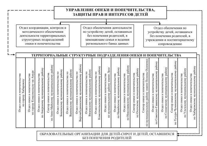 Управление опеки и попечительства иркутской области. Структура отдела опеки и попечительства.